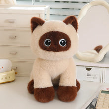Load image into Gallery viewer, Siamese Cat Plushie - Sitting Design with Big Eyes-siamese cat-30cm-1