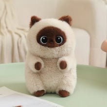 Load image into Gallery viewer, Siamese Cat Soft Plush Toy - Adorable Round Furry Sausage-Siamese cat-23cm-1