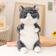 Load image into Gallery viewer, Silver Tabby and White Cat Soft Plush Toy - Precious Sparkle-Eyed Kitty-GRAY-30cm-1