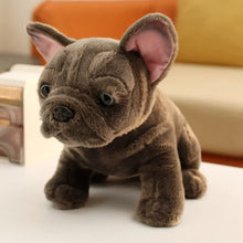Load image into Gallery viewer, Sitting Liver and Black French Bulldog Stuffed Animal Plush Toys-28cm-Grey-16