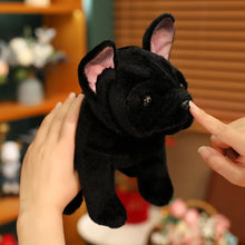 Load image into Gallery viewer, Sitting Liver and Black French Bulldog Stuffed Animal Plush Toys-8