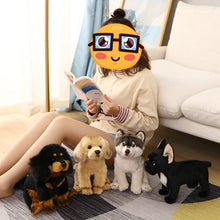 Load image into Gallery viewer, A woman sits on a patterned rug in a living room, reading a book while surrounded by four plush dog toys: a black and tan Rottweiler, a cream-colored Pomeranian, a husky, and a black French Bulldog.