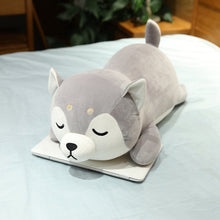 Load image into Gallery viewer, Full top view image of a sleeping realistic Husky stuffed animal plush toy pillow kept on the bed