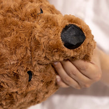 Load image into Gallery viewer, Sleepy Time Chocolate Labrador Stuffed Animal Plush Toy-Stuffed Animals-Biscuit Store-Medium-iLoveMy.Pet