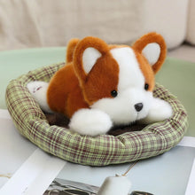 Load image into Gallery viewer, Small Corgi Plush Toy - Cozy Bed Napper-corgi-about 20cm-1