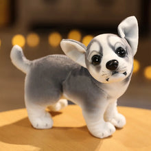 Load image into Gallery viewer, Small Lifelike Blue and White Chihuahua Stuffed Animal Plush Toys - Sitting and Standing-Husky standing-18cm-15