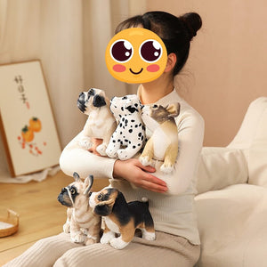 image of a woman playing with a collection of stuffed animal plush toys