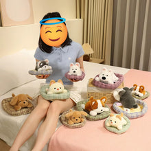 Load image into Gallery viewer, Small Schnauzer Plush Toy - Cozy Bed Napper-21