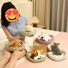 Load image into Gallery viewer, Small Schnauzer Plush Toy - Cozy Bed Napper-22