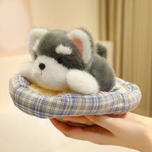 Load image into Gallery viewer, Small White Japanese Spitz Plush Toy - Cozy Bed Napper-13