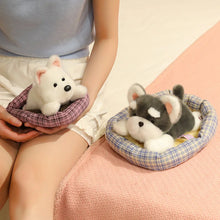 Load image into Gallery viewer, Small White Japanese Spitz Plush Toy - Cozy Bed Napper-16