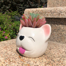 Load image into Gallery viewer, Image of a smiling white frenchie plant pot
