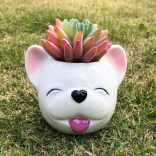 Load image into Gallery viewer, Image of a smiling french bulldog flower pot