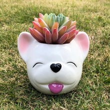 Load image into Gallery viewer, Image of a smiling white french bulldog flower pot