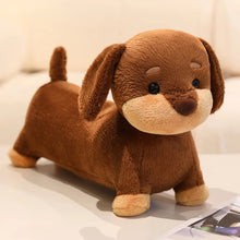 Load image into Gallery viewer, Snuggly Chocolate Dachshund Stuffed Animal Plush Toy-D-25cm-1