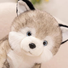 Load image into Gallery viewer, Soft and Furry Husky Love Plush Toys-Stuffed Animals-Siberian Husky, Stuffed Animal-3