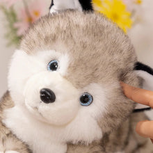 Load image into Gallery viewer, Soft and Furry Husky Love Plush Toys-Stuffed Animals-Siberian Husky, Stuffed Animal-4