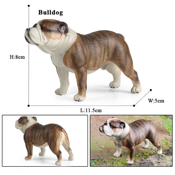 Stocky Brown And White Bulldog Figurine Standing Pose Bulldog 360x
