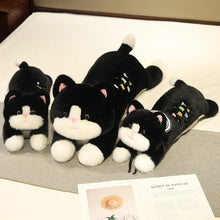 Load image into Gallery viewer, Stretch Time Black and White Cat Stuffed Animal Plush Toys-1