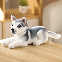 Load image into Gallery viewer, Stretching Dog Stuffed Animals - Plush Toys of Your Favorite Breeds-Soft Toy-Dogs, Stuffed Animal-Husky-5