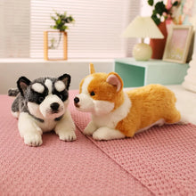 Load image into Gallery viewer, Stretching Realistic Corgi Stuffed Animal Plush Toys-10