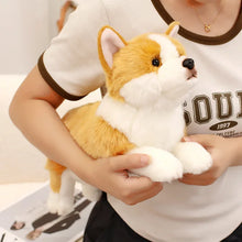 Load image into Gallery viewer, Stretching Realistic Corgi Stuffed Animal Plush Toys-9