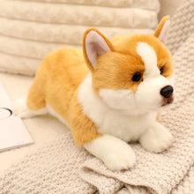 Load image into Gallery viewer, Stretching Realistic Corgi Stuffed Animal Plush Toys-Corgi-40cm-1