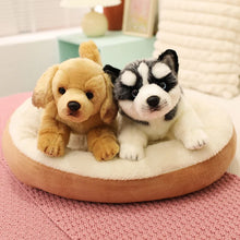 Load image into Gallery viewer, Stretching Realistic Grey and White Husky Stuffed Animal Plush Toys-2