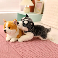 Load image into Gallery viewer, Stretching Realistic Grey and White Husky Stuffed Animal Plush Toys-5