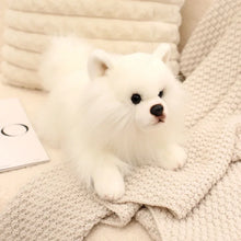 Load image into Gallery viewer, Stretching Realistic White Pomeranian Stuffed Animal Plush Toys-Stuffed Animals-Dog Memorial Gifts,Pomeranian,Stuffed Animal-6