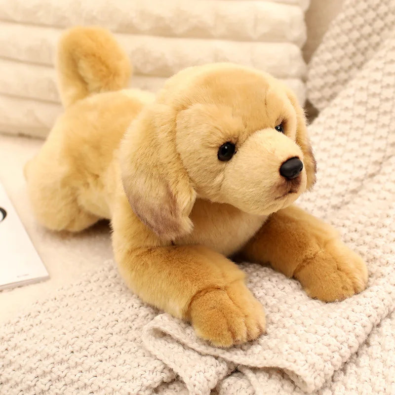 Stretching Realistic Yellow Labrador Stuffed Animal Plush Toys-Labrador-40cm-1
