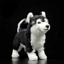 Load image into Gallery viewer, Striking Husky Stuffed Animal Plush Toy with Heterochromia-2