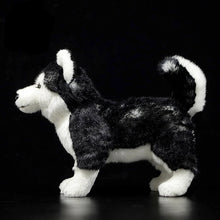 Load image into Gallery viewer, Striking Husky Stuffed Animal Plush Toy with Heterochromia-3