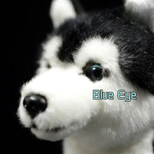 Load image into Gallery viewer, Striking Husky Stuffed Animal Plush Toy with Heterochromia-Dog Memorial Gifts,Siberian Husky,Stuffed Animal-4