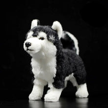 Load image into Gallery viewer, Striking Husky Stuffed Animal Plush Toy with Heterochromia-6