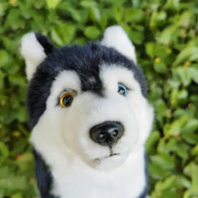 Load image into Gallery viewer, Striking Husky Stuffed Animal Plush Toy with Heterochromia-Dog Memorial Gifts,Siberian Husky,Stuffed Animal-1
