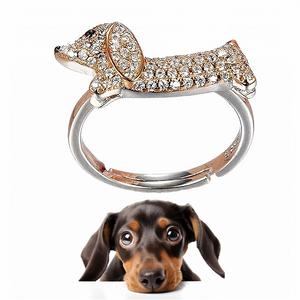 Image of a Dachshund ring with a picture of a Dachshund below