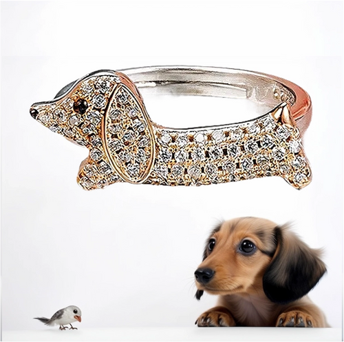 Image of a Dachshund with a Dachshund ring