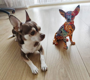 Stunning Chihuahua Design Multicolor Resin Statue-Home Decor-Chihuahua, Dogs, Home Decor, Statue-Chihuahua-6