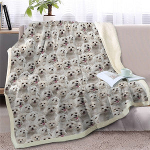 Sweetest Shetland Sheepdog Dreams Warm Blanket - Series 3-Home Decor-Blankets, Dogs, Home Decor, Rough Collie, Shetland Sheepdog-Maltese-Large-19