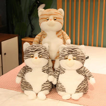 Load image into Gallery viewer, Tabby Brown and White Cat Plush Toy - Not Impressed Grumpy Fat Cat-15