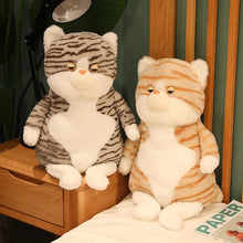 Load image into Gallery viewer, Tabby Brown and White Cat Plush Toy - Not Impressed Grumpy Fat Cat-3