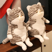 Load image into Gallery viewer, Tabby Brown and White Cat Plush Toy - Not Impressed Grumpy Fat Cat-8