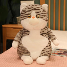 Load image into Gallery viewer, Tabby Brown and White Cat Plush Toy - Not Impressed Grumpy Fat Cat-GRAY-50cm-1