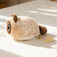Load image into Gallery viewer, Tabby Brown Cat Plush Toy - Big Eyed Squishy Cat-8