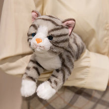 Load image into Gallery viewer, Tabby Cat Stuffed Animal Plush Toy - Gray / Silver and White - Belly Flop Design-8