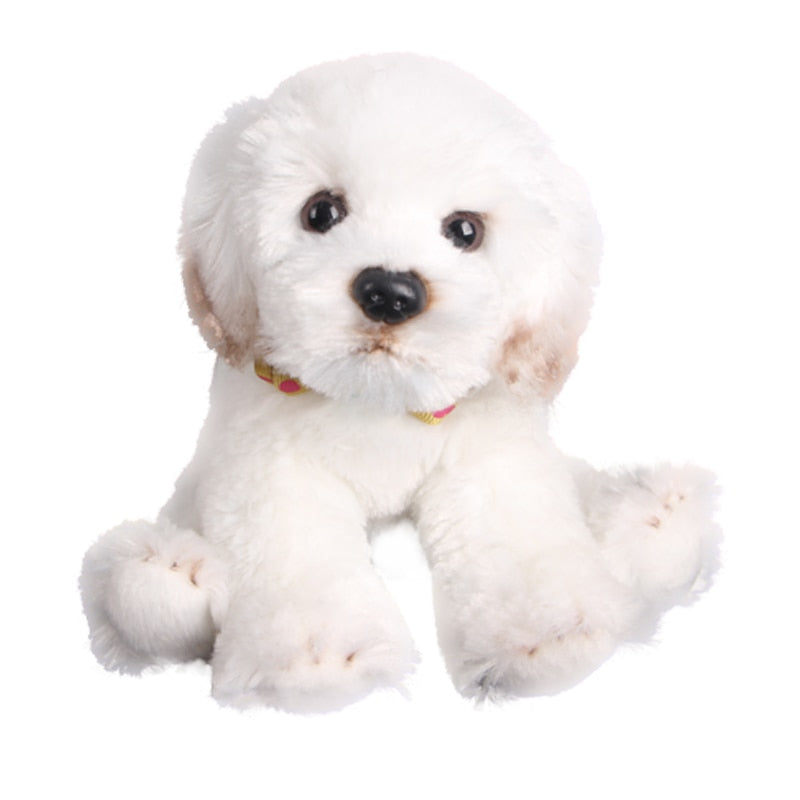 Fluffy small baby dog plush toy on white background, created with
