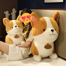 Load image into Gallery viewer, Take Me Home Corgi Love Stuffed Animal Plush Toys-Stuffed Animals-Corgi, Stuffed Animal-9