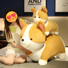 Load image into Gallery viewer, Take Me Home Corgi Love Stuffed Animal Plush Toys-Stuffed Animals-Corgi, Stuffed Animal-6