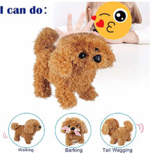 Load image into Gallery viewer, Toy Poodle Electronic Toy Walking Dog-Soft Toy-Dogs, Doodle, Soft Toy, Stuffed Animal, Toy Poodle-2